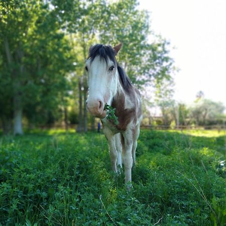 La Matera Posada De Campo San Rafael  Zewnętrze zdjęcie