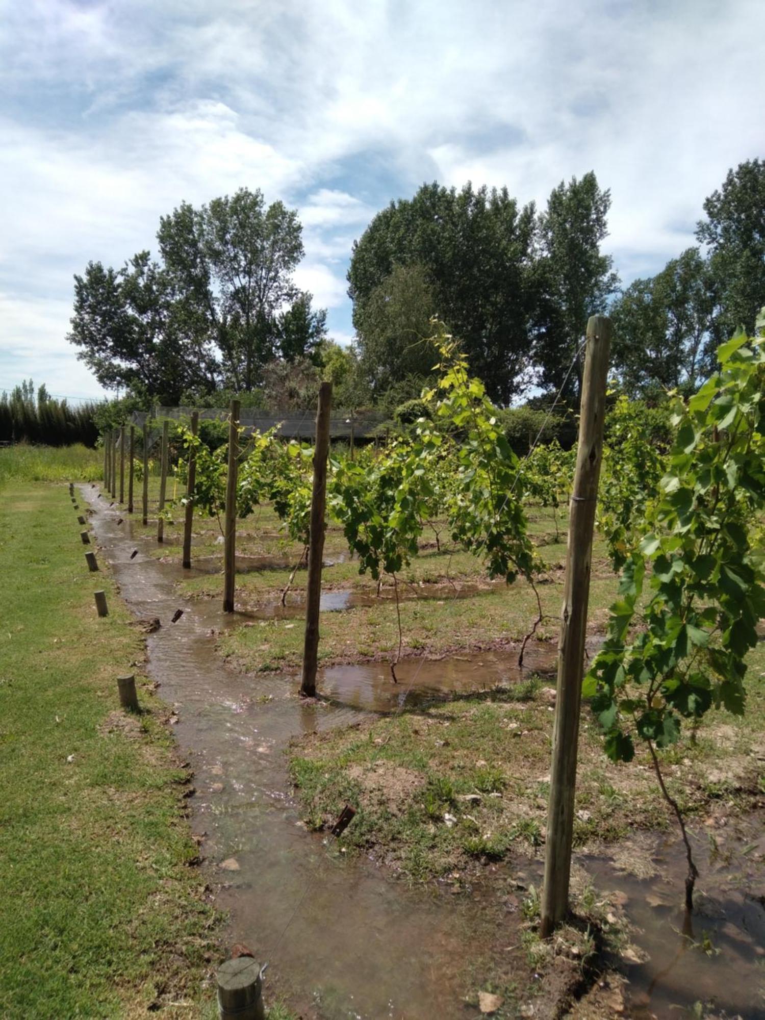 La Matera Posada De Campo San Rafael  Zewnętrze zdjęcie