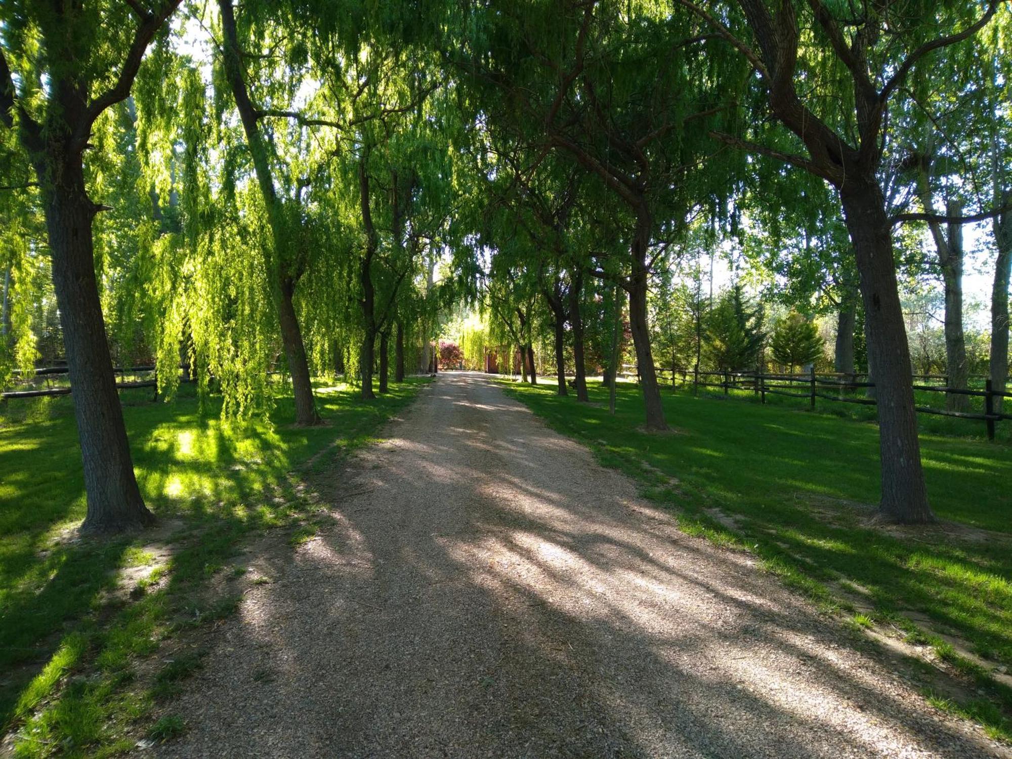 La Matera Posada De Campo San Rafael  Zewnętrze zdjęcie